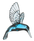 Bleděmodrý kolibřík se stal symbolem Terapie něhou. Klientky jej dostávají při ukončení terapie na památku